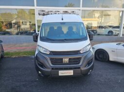 Ducato Cargo / 2025