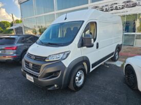 Ducato Cargo / 2025