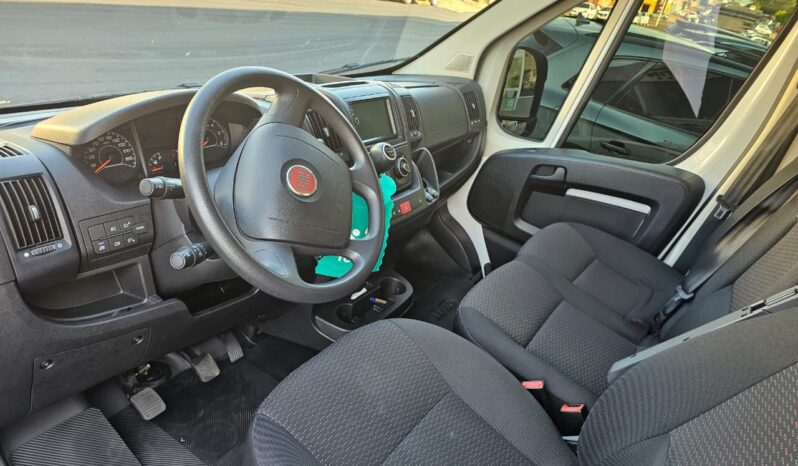 
								Ducato Cargo / 2025 full									