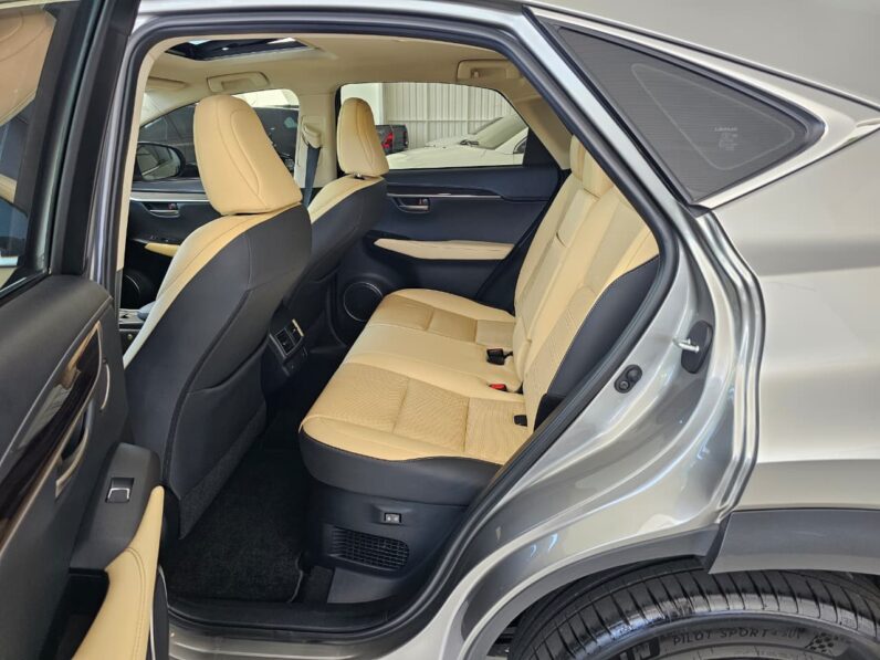 
								LEXUS NX300h / 2021 full									